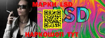 шишки Дубна