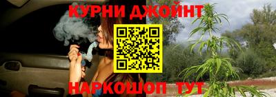 шишки Дубна