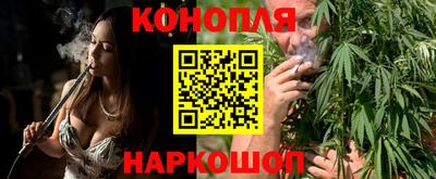 шишки Дубна