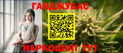 шишки Дубна