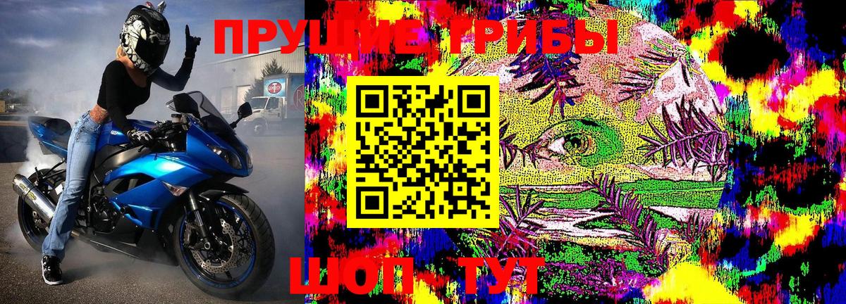Галлюциногенные грибы MAGIC MUSHROOMS  Вход с VPN  Мытищи 
