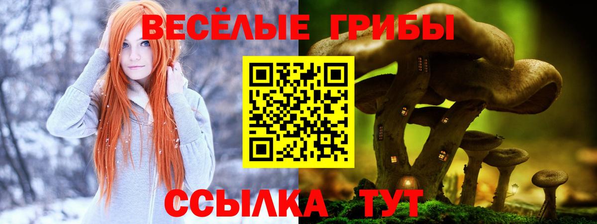 Псилоцибиновые грибы MAGIC MUSHROOMS Мытищи